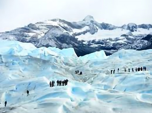 imagen Calafate 2