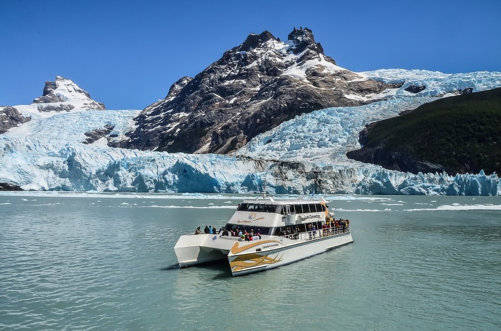 imagen Calafate 3