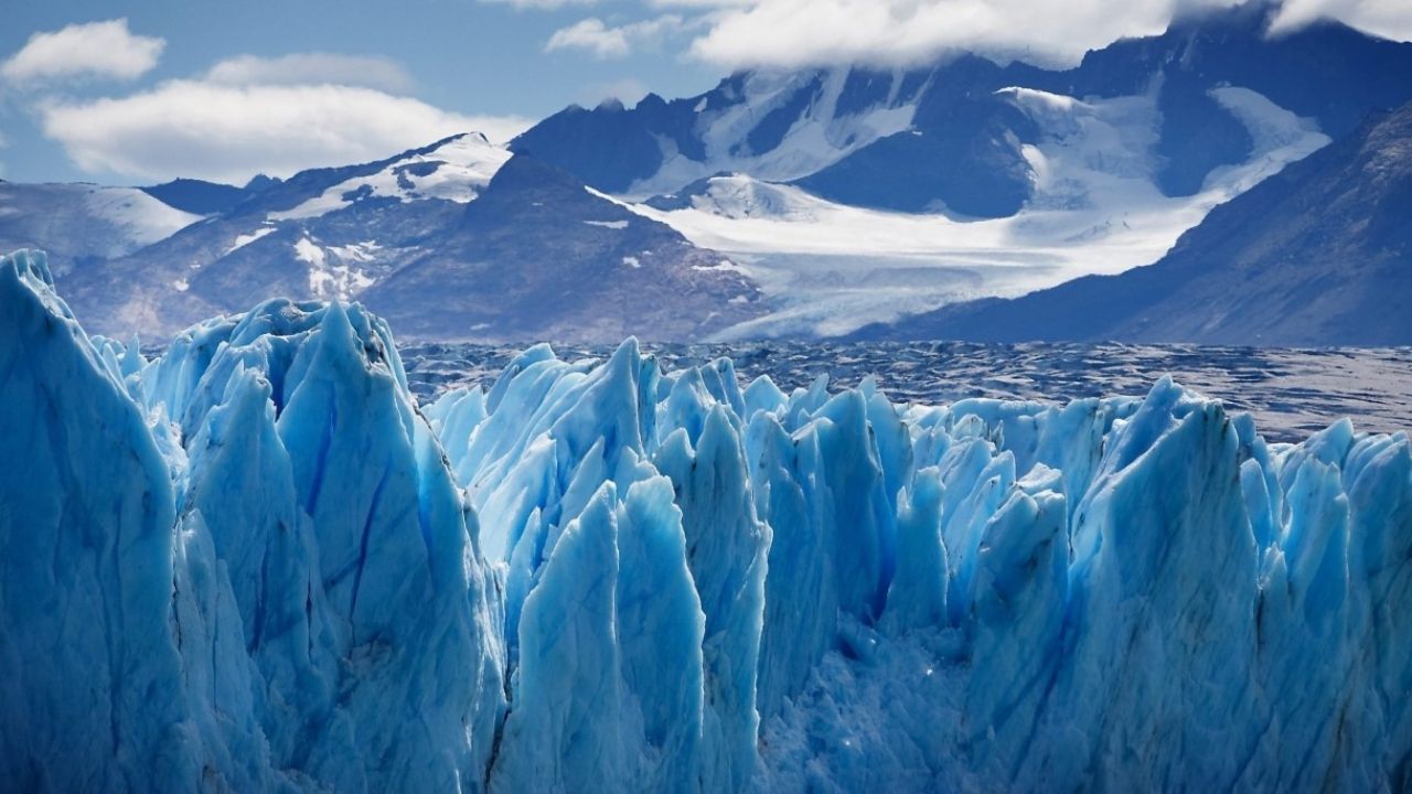 imagen Calafate 4