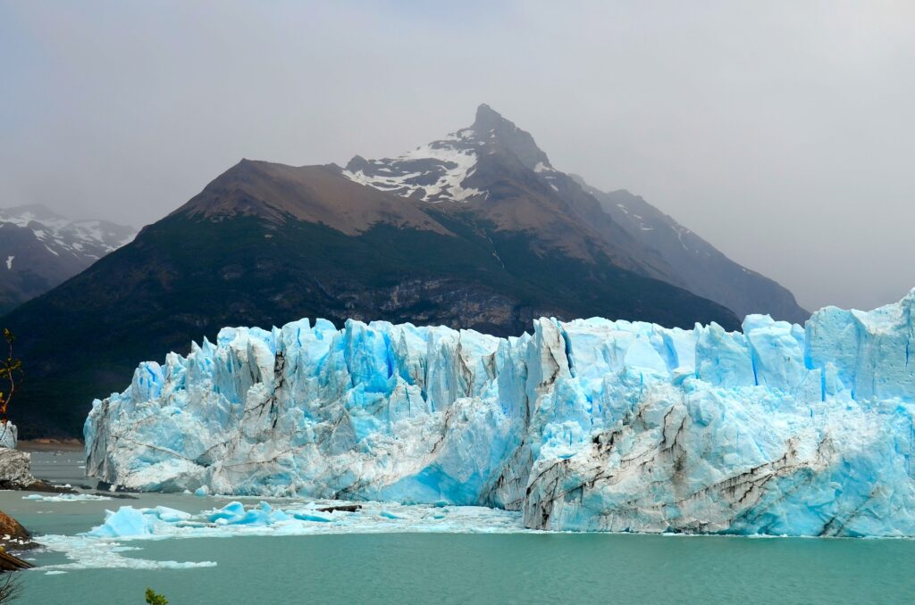 imagen Calafate 5