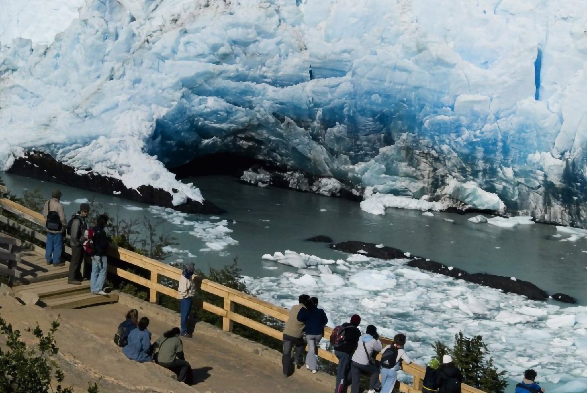 imagen Calafate 6