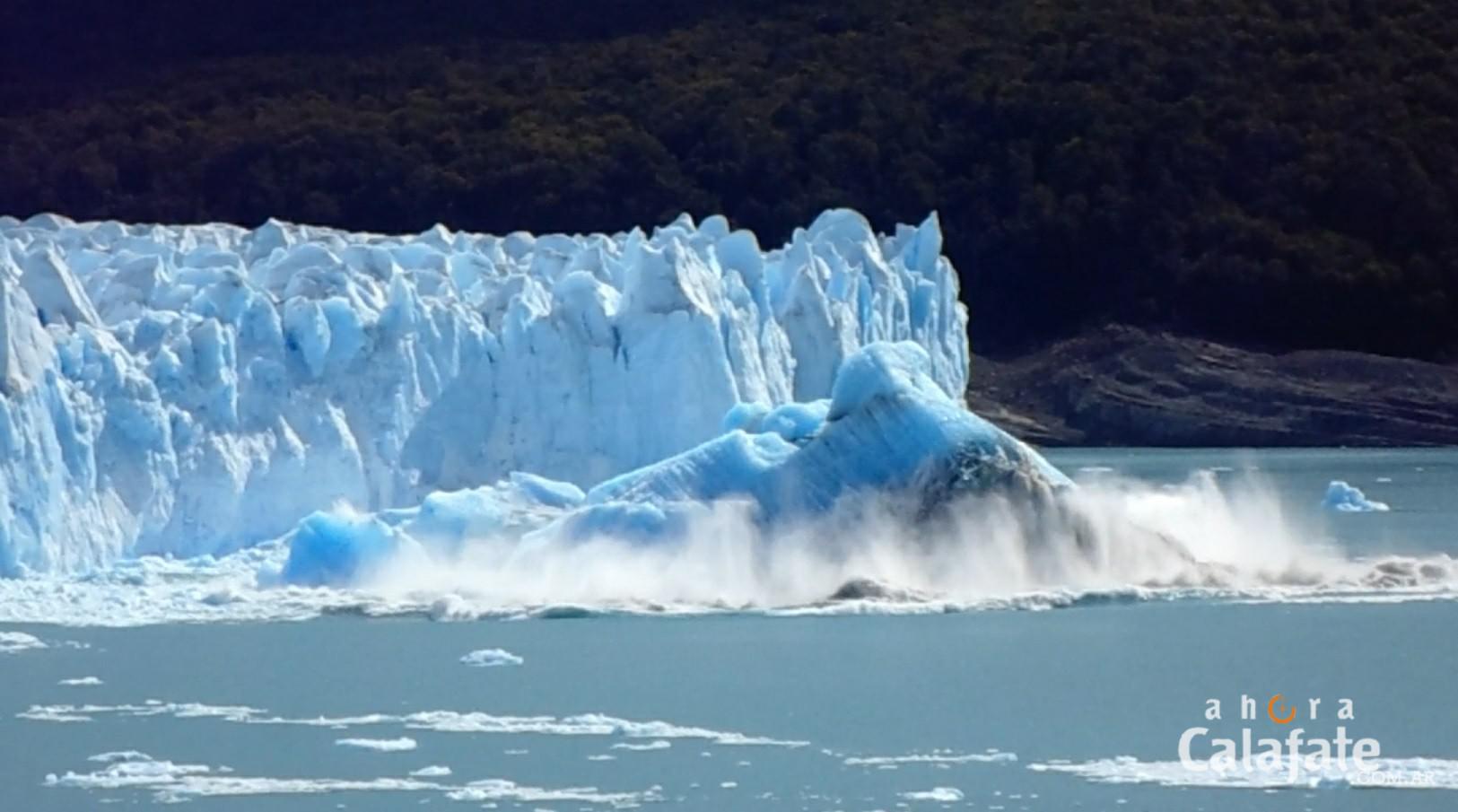 imagen Calafate 7