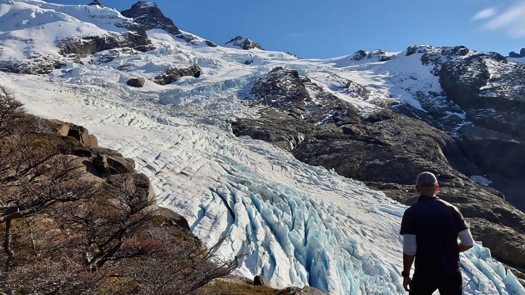 imagen Calafate 8